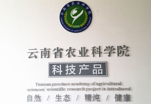 云南省農業科學院科技產品電子商務營銷中心成立 開啟科技興農新篇章